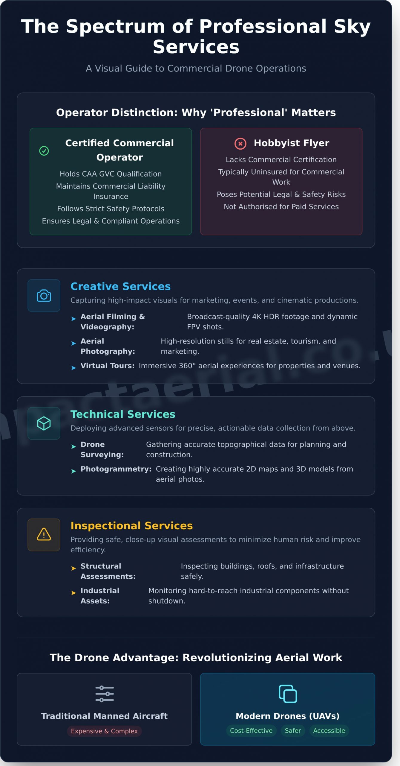 Professional Sky Services: The Ultimate Guide to Drones in Business - Infographic